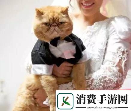 糖心柚子猫甘雨的情人节礼物