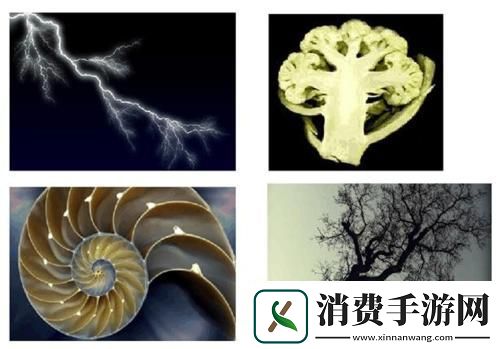 “空间相似性”奇葩说