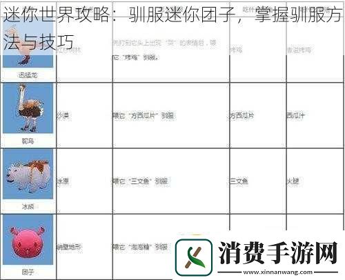 迷你世界攻略