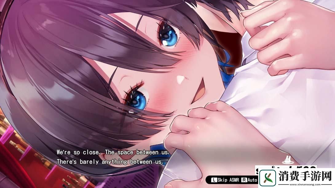 【美版】兔子花园