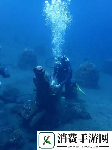 潜水员戴夫的特殊节日之旅