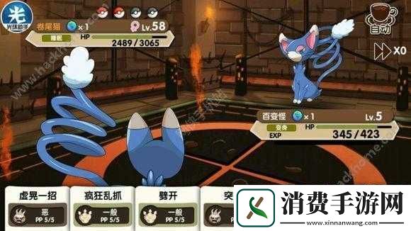 卷尾猫华丽降临