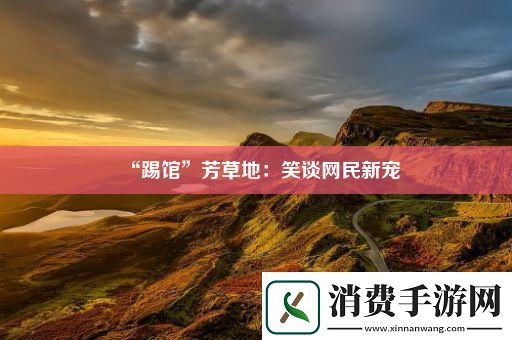 “踢馆”芳草地