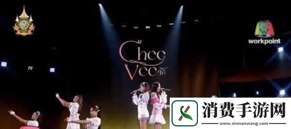 片多多3999HCC