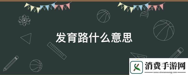 发育路是个啥玩意儿解剖这谜之线路的幽默自嘲