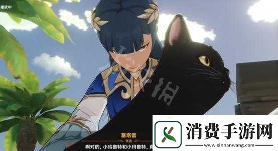 原神塞塔蕾两只猫的名字览
