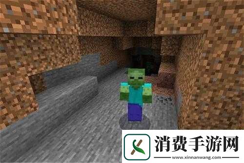 深入剖析我的世界中僵尸的实力究竟处于何种水平