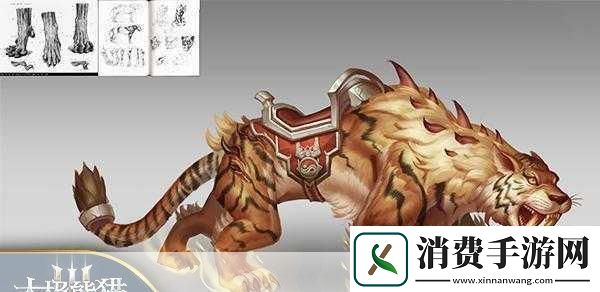 独家揭秘太极熊猫3