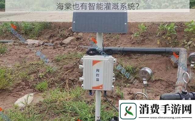 海棠也有智能灌溉系统