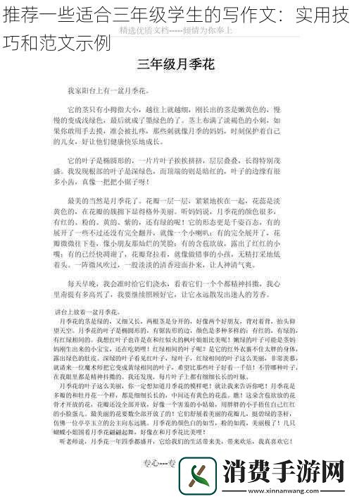 推荐一些适合三年级学生的写作文