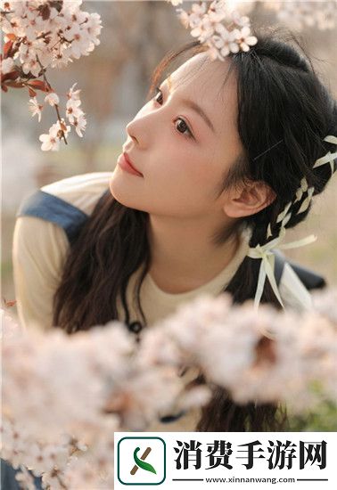 天美麻花果冻视频大全英文版