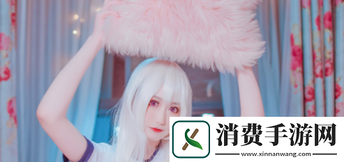 秘密入口mini6的安全保护