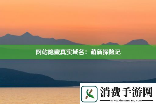 网站隐藏真实域名