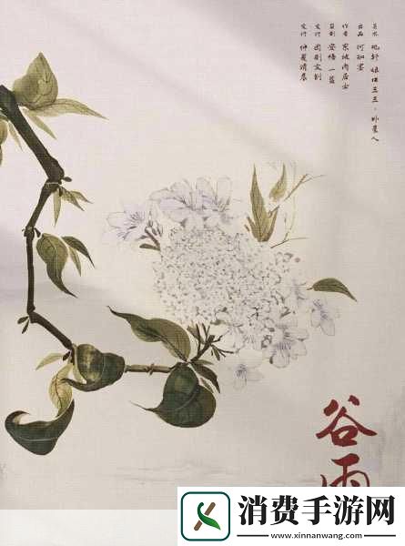 红豆影视传媒有限公司
