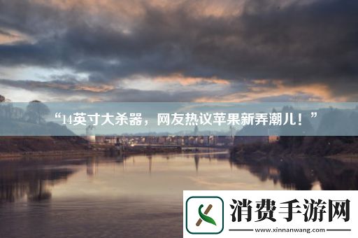 “14英寸大杀器