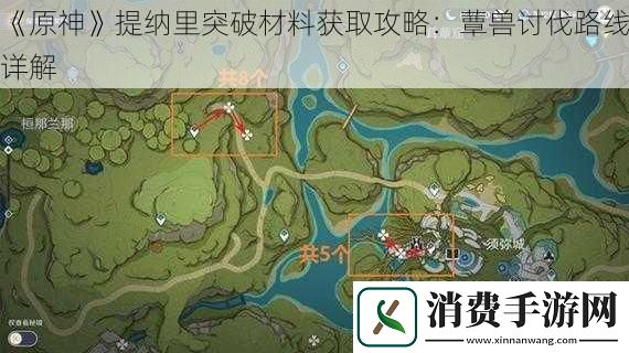 原神提纳里突破材料获取攻略