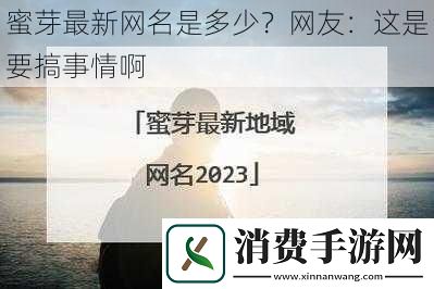 蜜芽最新网名是多少