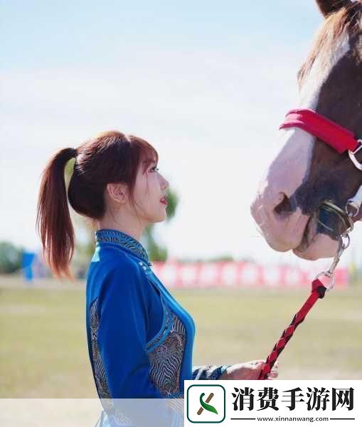 手游新风尚邂逅成熟魅力