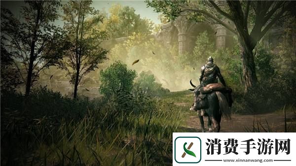 老贼更新！艾尔登法环1.16版更新上线