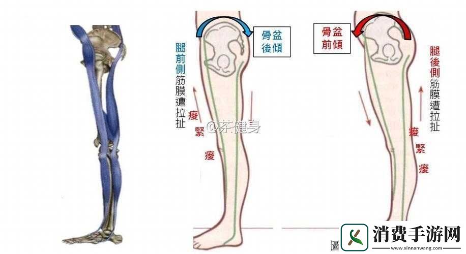 腿分太开会不紧吗