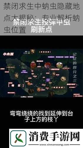 禁闭求生中蚋虫隐藏地点大揭秘