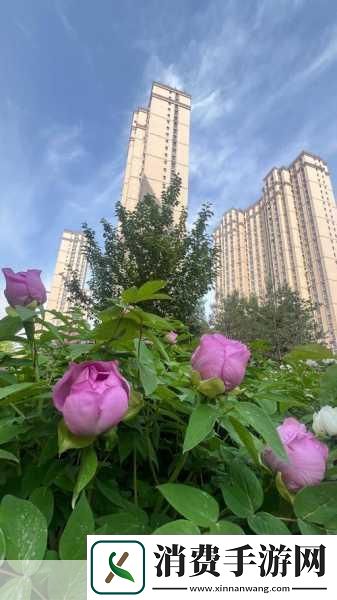 国色天香A区与B区