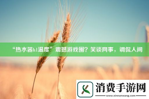 “热水器h1温度”震撼游戏圈笑谈事调侃人间