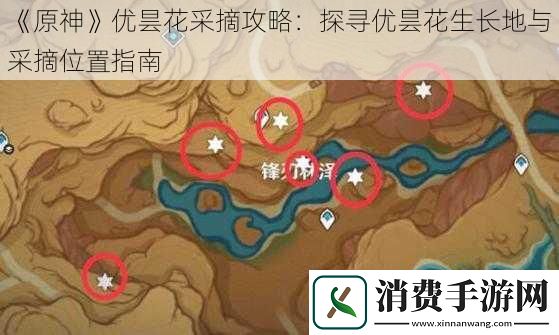 原神优昙花采摘攻略