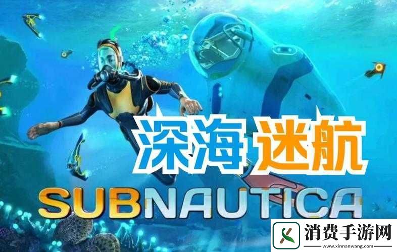 探索美丽水世界