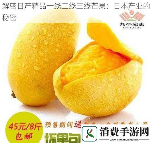 解密日产精品一线二线三线芒果