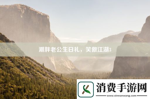 潮胖老公生日礼