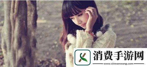 成品网站5668入口的功能介绍
