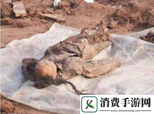 无人区编码6229
