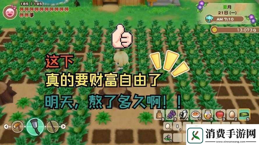 牧场物语重聚矿石镇