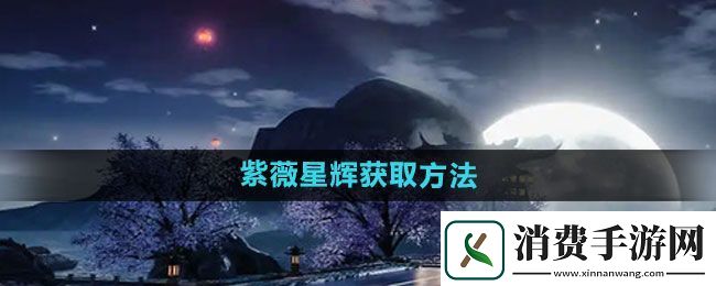 天龙八部手游紫薇星辉获取方法