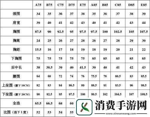 欧洲尺码日本尺码专线中老年