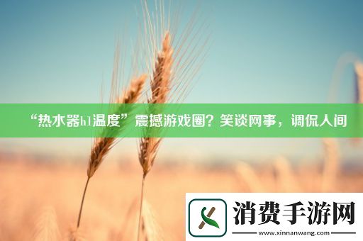 “热水器h1温度”震撼游戏圈笑谈事调侃人间