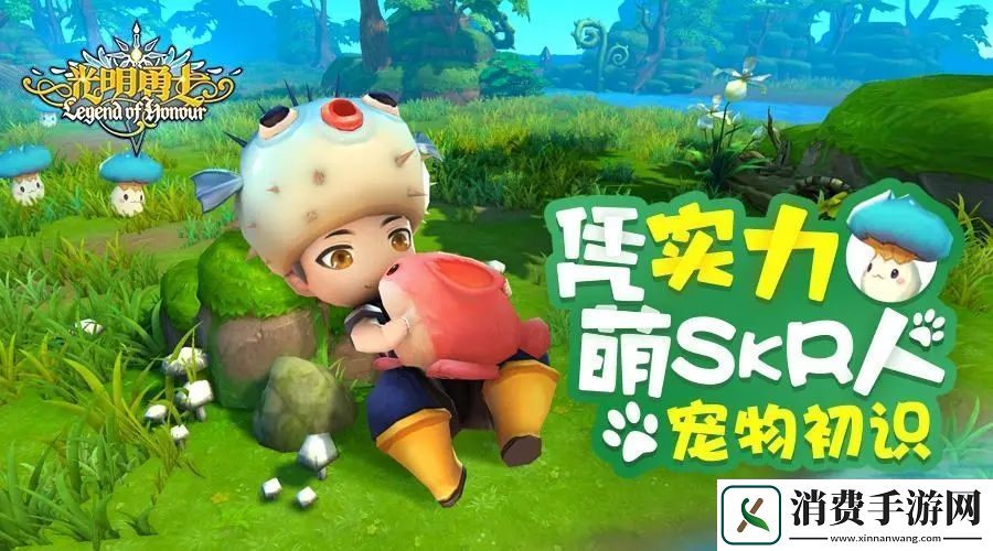 光明勇士随机金宠怎么获得光明勇士哪个宠物最好用