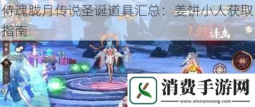 侍魂胧月传说圣诞道具汇总