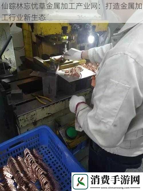 仙踪林忘忧草金属加工产业网