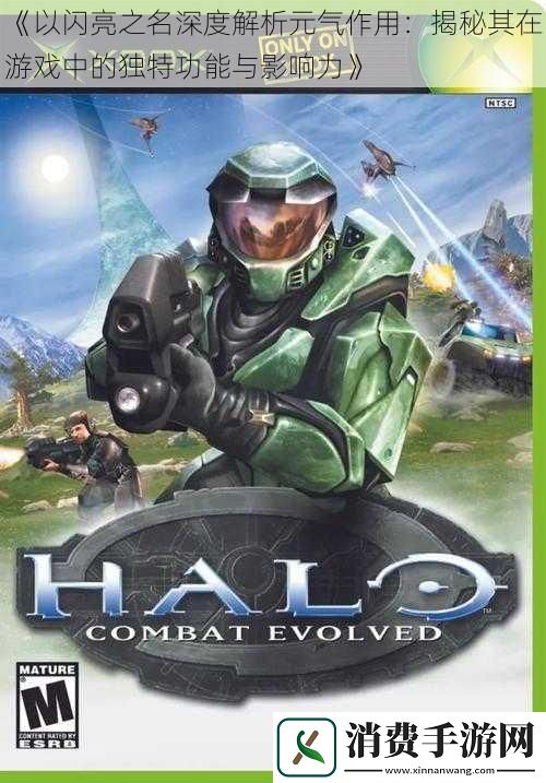 以闪亮之名深度解析元气作用