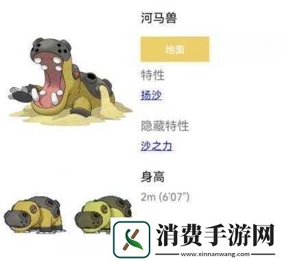 宝可梦剑盾河马兽配招攻略