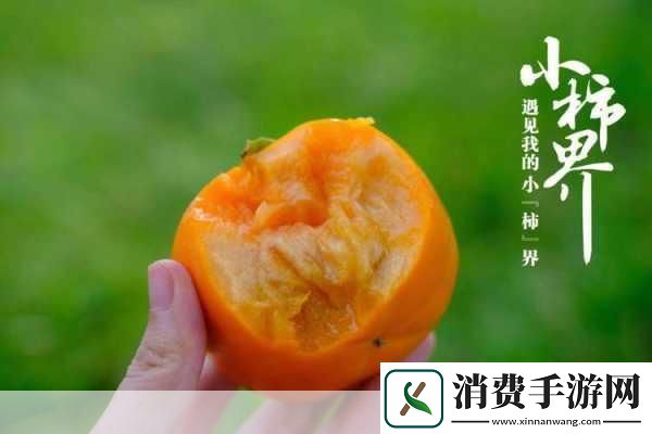 国精产品一区一区三区糖心