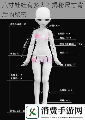 八寸娃娃有多大