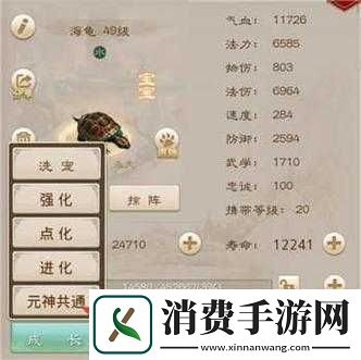 问道手游宠物元神共通有什么用