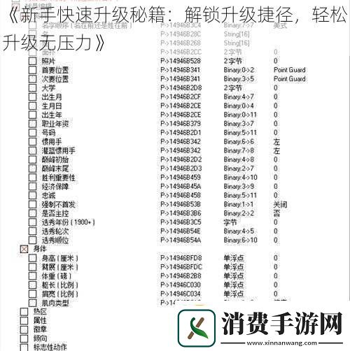 新手快速升级秘籍