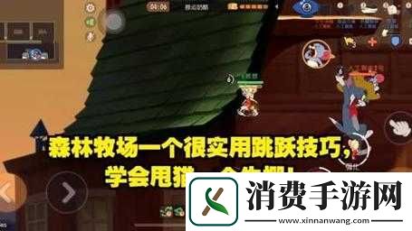 猫和老鼠手游森林牧场野花作用剖析