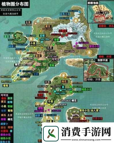 创造与魔法