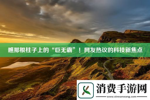 瞧那根柱子上的“巨无霸”！网友热议的科技新焦点