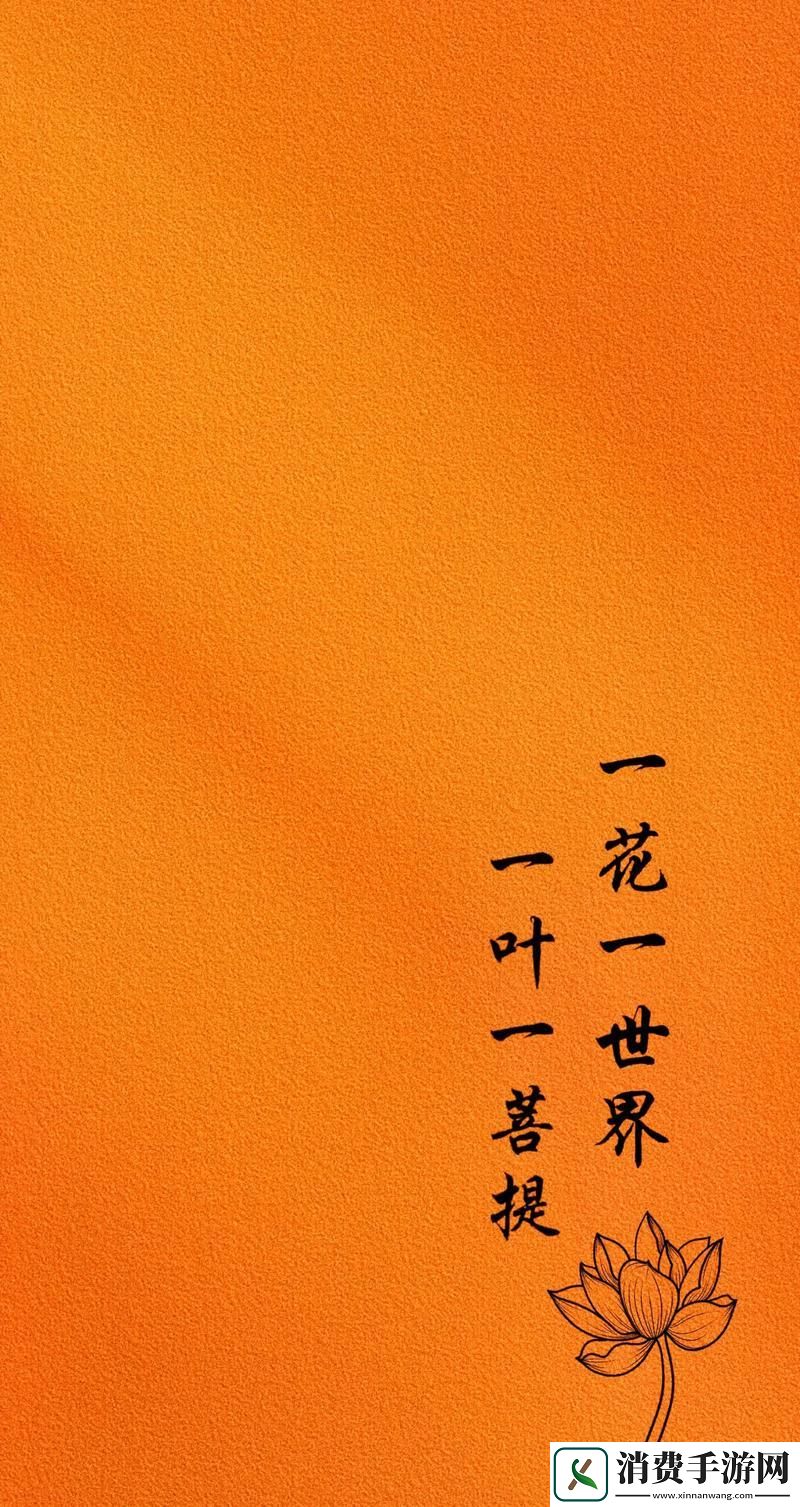 “一叶一花”的疯狂密码